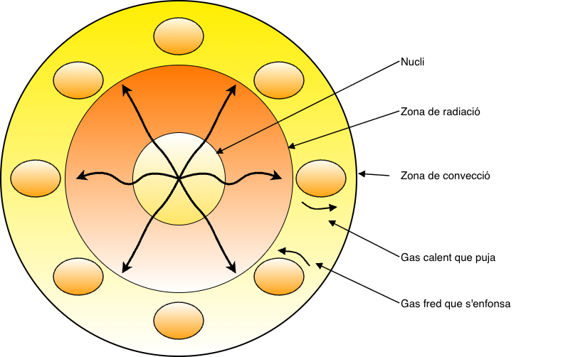 Estructura interna del Sol